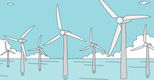 Huit premiers projets de recherche obtiennent le soutien du fonds biodiversité dans la Manche