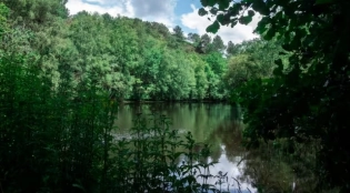 Le niveau des nappes phréatiques est satisfaisant en France, sauf dans le Roussillon
