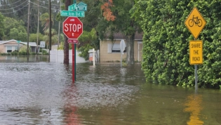 « On a sous-estimé le danger » : pourquoi les villes côtières sont menacées