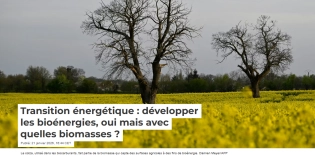 Transition énergétique : développer les bioénergies, oui mais avec quelles biomasses ?