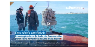 Des récifs artificiels recréent la biodiversité dans le Golfe de Fos