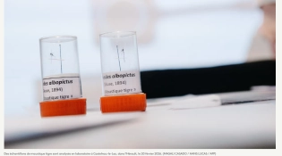 "Humains animaux environnement... Toutes ces santés sont liées" : on vous explique le concept de "One Health" au cœur d'un sommet international à Ly