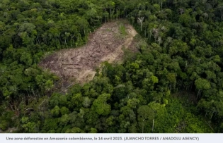 "Les banques françaises ferment les yeux"