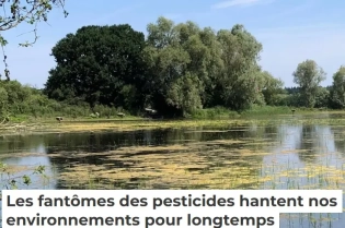 Les fantômes des pesticides hantent nos environnements pour longtemps