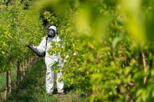 Pesticides : quand les équipements censés protéger exposent davantage