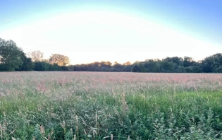 Transition écologique : les entreprises à l’heure des nouveaux récits