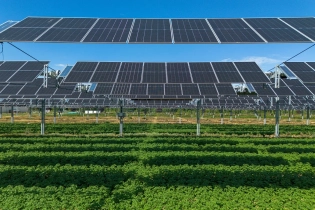 Rapport de durabilité volontaire : pourquoi les PME doivent se saisir de ce nouvel outil, et vite !