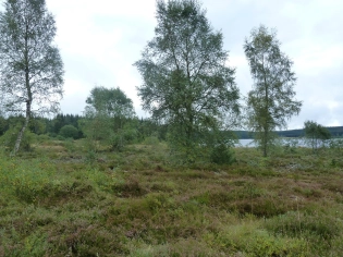 Préserver les zones humides en Lozère : un projet exemplaire