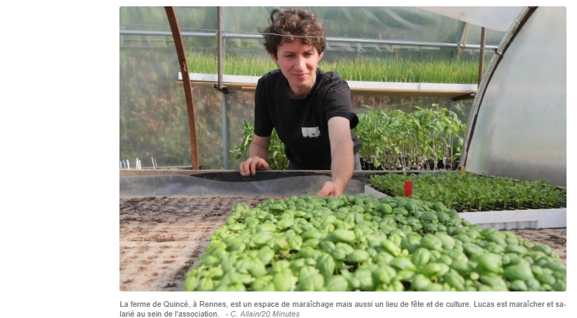 image article : « On rend l’agriculture visible »… Dans cette ferme au cœur de Rennes, on mélange la guinguette et les courgettes