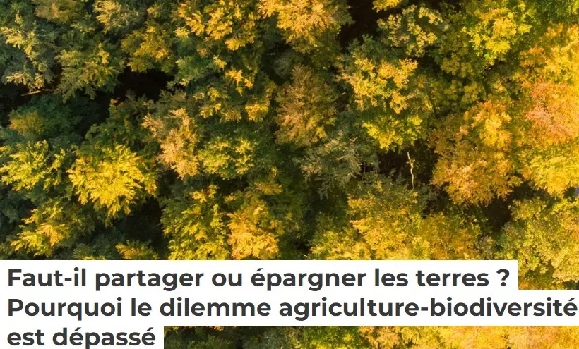 Faut-il partager ou épargner les terres ? Pourquoi le dilemme agriculture-biodiversité est dépassé