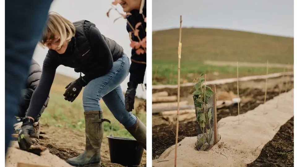 Moët & Chandon réunit la filière champenoise autour de la biodiversité